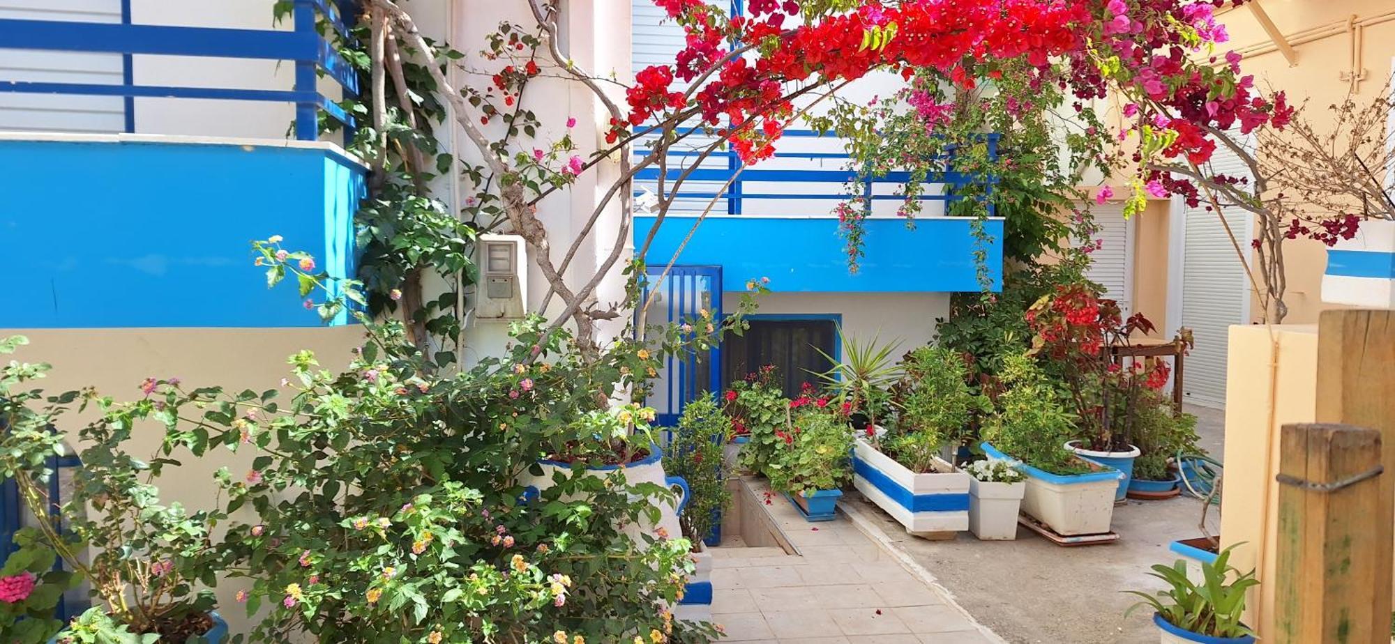 Blue Sky Apartment ปาไลโอโกรา ภายนอก รูปภาพ